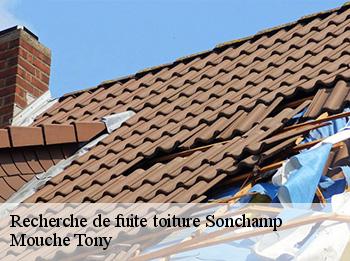Recherche de fuite toiture  sonchamp-78120 Mouche Tony