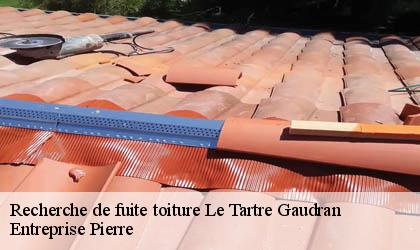Recherche de fuite toiture