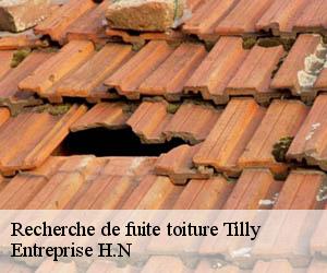 Recherche de fuite toiture  tilly-78790 Entreprise H.N