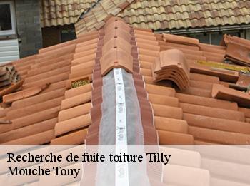 Recherche de fuite toiture