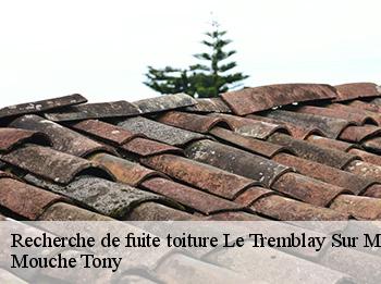 Recherche de fuite toiture  78490