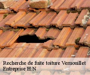 Recherche de fuite toiture  vernouillet-78540 Entreprise H.N