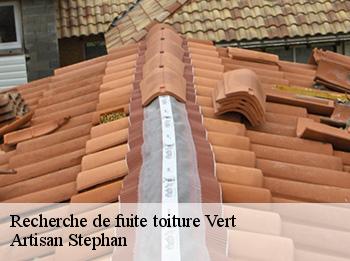 Recherche de fuite toiture