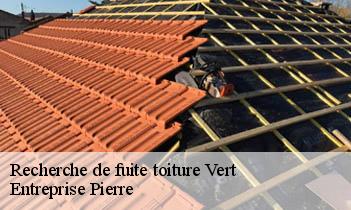 Recherche de fuite toiture  vert-78930 Entreprise Pierre