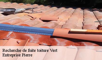 Recherche de fuite toiture