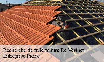 Recherche de fuite toiture  le-vesinet-78110 Entreprise Pierre