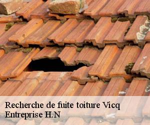 Recherche de fuite toiture  vicq-78490 Entreprise H.N