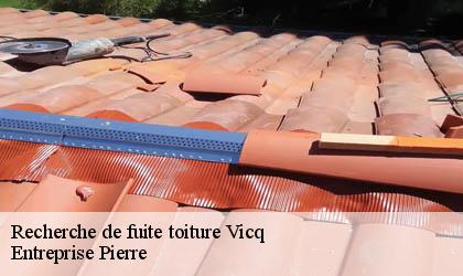 Recherche de fuite toiture