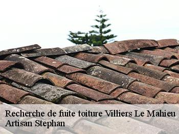 Recherche de fuite toiture  78770