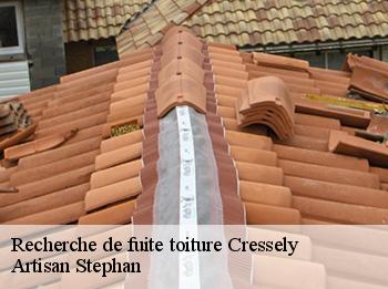 Recherche de fuite toiture