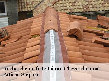 Recherche de fuite toiture