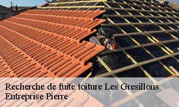 Recherche de fuite toiture les-gresillons-78955 Entreprise Pierre