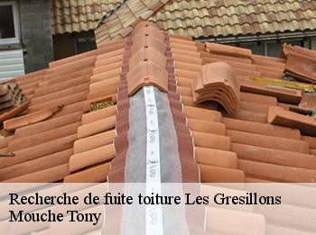 Recherche de fuite toiture