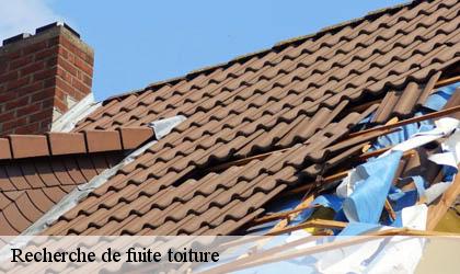 Recherche de fuite toiture