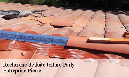 Recherche de fuite toiture