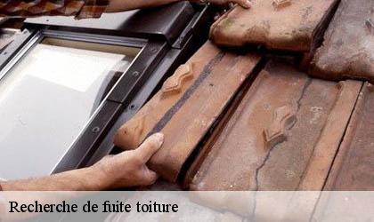 Recherche de fuite toiture