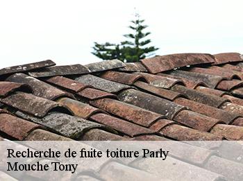 Recherche de fuite toiture  78150