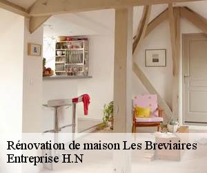 Rénovation de maison  les-breviaires-78610 Entreprise H.N