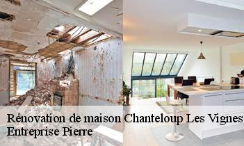 Rénovation de maison chanteloup-les-vignes-78570 Entreprise Pierre