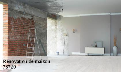 Rénovation de maison  78720
