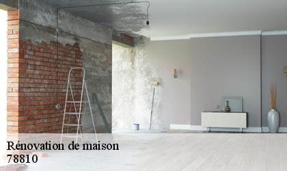 Rénovation de maison 78810