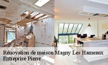 Rénovation de maison magny-les-hameaux-78114 Entreprise Pierre