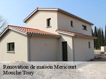 Rénovation de maison  mericourt-78270 Mouche Tony