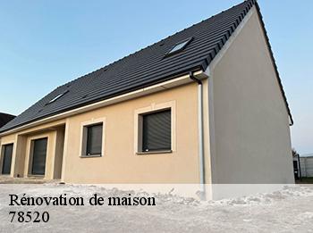 Rénovation de maison  78520