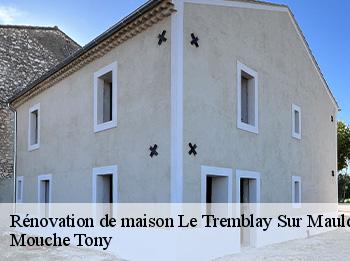 Rénovation de maison  78490