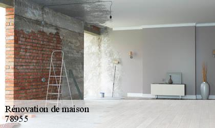 Rénovation de maison  78955