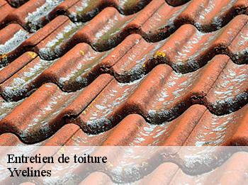 Entretien de toiture  Yvelines 