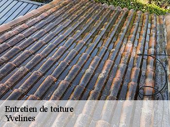 Entretien de toiture 