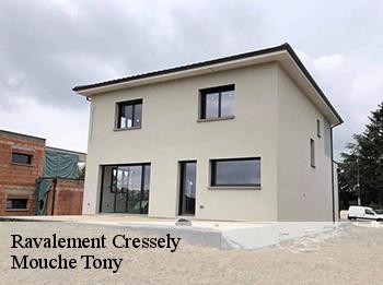 Ravalement  cressely-78114 Mouche Tony