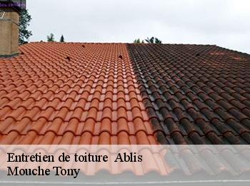 Entretien de toiture 78660