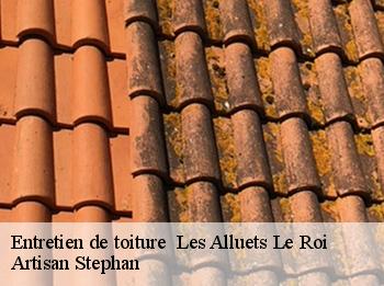 Entretien de toiture   les-alluets-le-roi-78580 Artisan Stephan