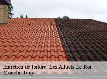 Entretien de toiture   78580