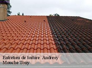 Entretien de toiture   78570