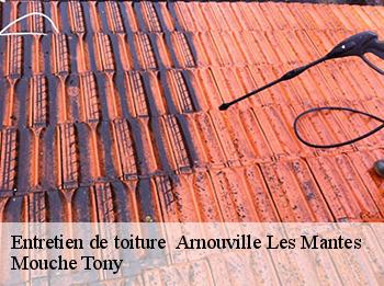 Entretien de toiture 