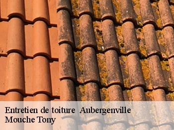 Entretien de toiture   aubergenville-78410 Mouche Tony