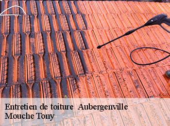 Entretien de toiture