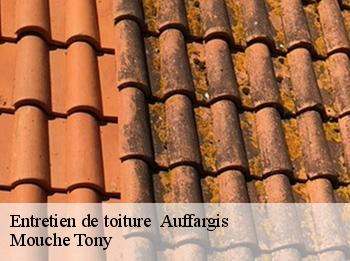 Entretien de toiture   auffargis-78610 Mouche Tony