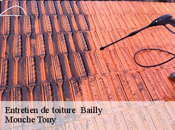 Entretien de toiture 