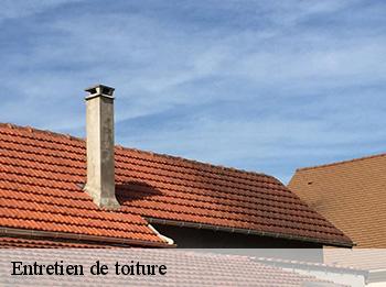 Entretien de toiture 