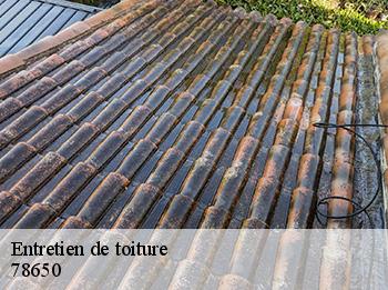 Entretien de toiture 