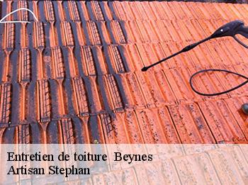 Entretien de toiture 