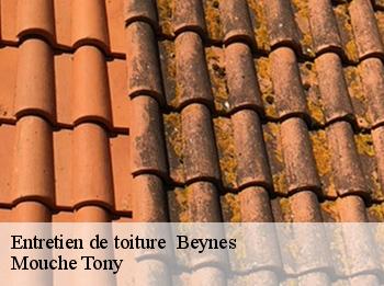 Entretien de toiture   beynes-78650 Mouche Tony