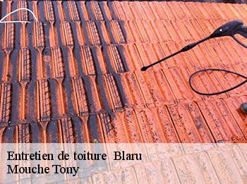 Entretien de toiture