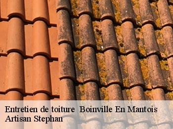Entretien de toiture   boinville-en-mantois-78930 Artisan Stephan