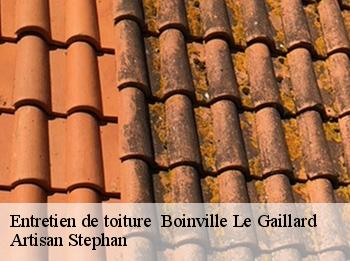 Entretien de toiture   boinville-le-gaillard-78660 Artisan Stephan