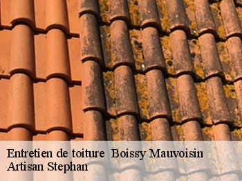 Entretien de toiture   boissy-mauvoisin-78200 Artisan Stephan